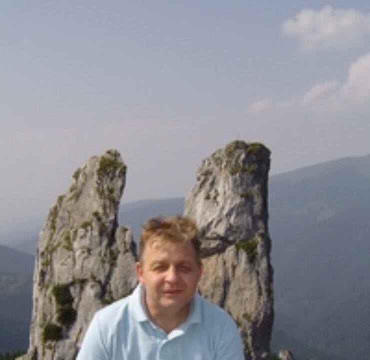 Prof. univ. dr. habil. Dorel-Mihael FÎNARU